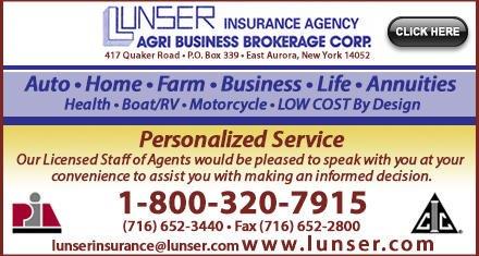 Lunser Insurance Agency