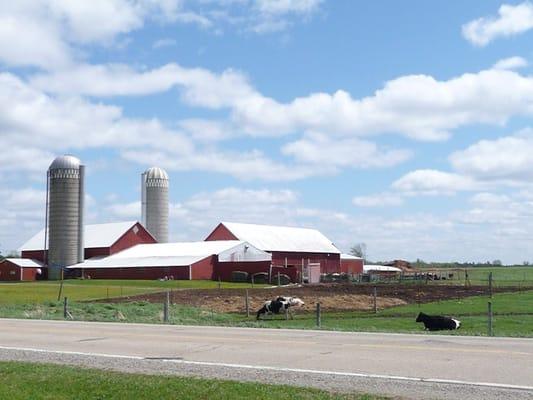 Brubaker's Country Store