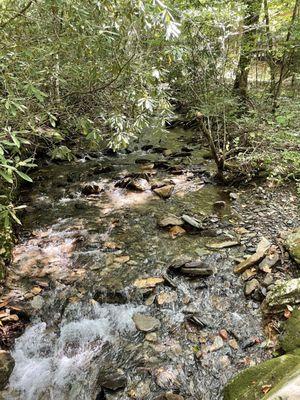 Creek behind the cabin.