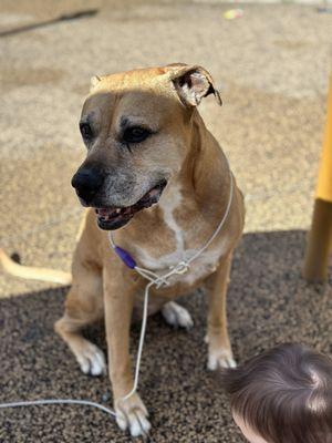 Alamosa Valley Veterinary Clinic