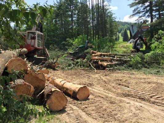 Clearing an area for a new chairlift at Pats Peak in Henniker.