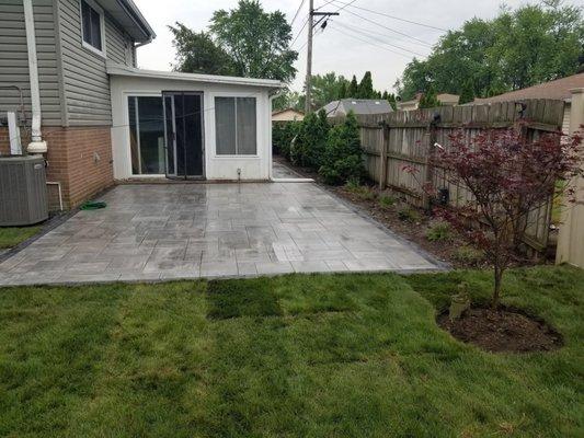 tree and patio, after