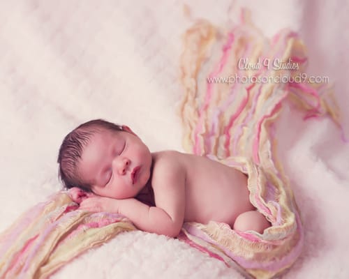 Newborn Portraits part of the Baby Plan at Cloud 9 Studios