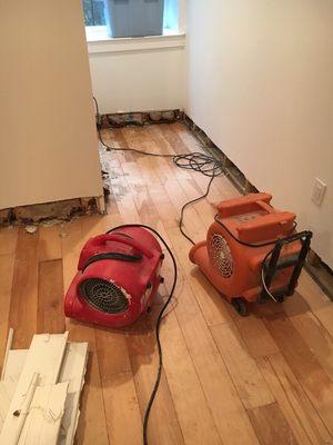 Sump pump failure, water damaged basement remediation, Fishtown