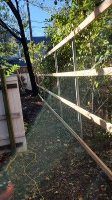 New fence build