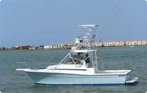 Montauk Charters Lets go Fishing