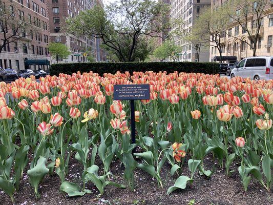 Park Avenue Malls in Carnegie Hill 05/03/22