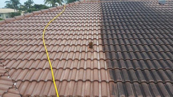 Pressure washing tile roofs