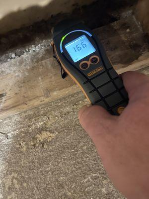 Moisture reader after water damage