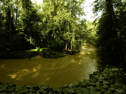 Waters rise and flow rapidly after a rain storm within Difficult Run Stream Valley Park.