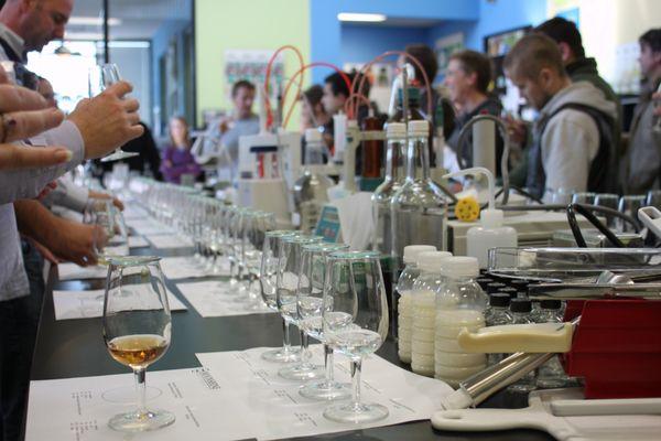 Sensory training and bridge spirits presentation at Flavorman, an international custom beverage development company.