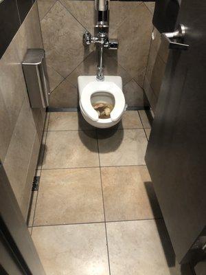 Clogged toilet