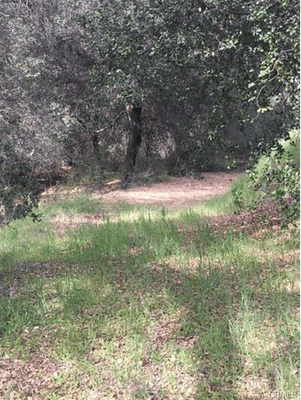 Available:  GORGEOUS 25 acre parcel in Hemet!! A must see!!!