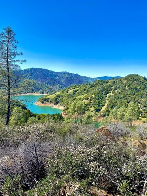 Lake Sonoma