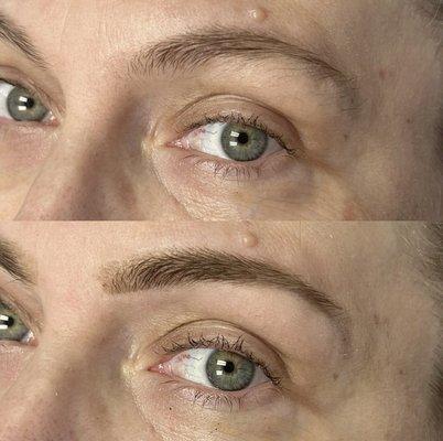 Brow Wax & Tint