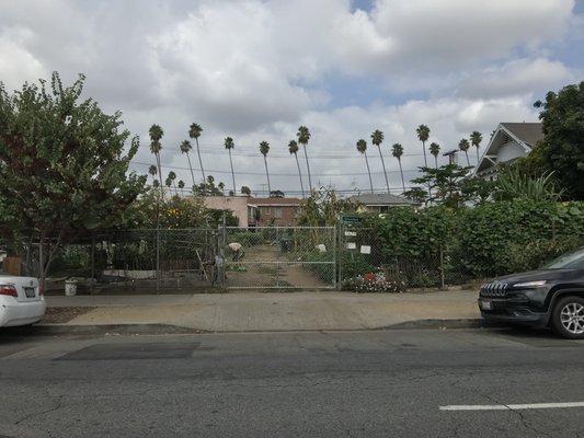 Crenshaw community garden