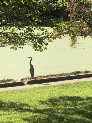 January-Wabash Memorial Park