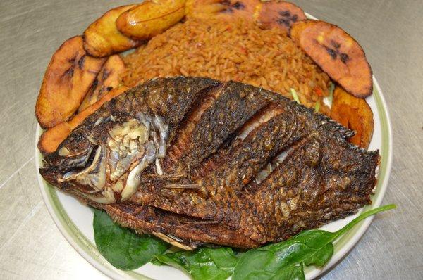 Jollof Rice & Whole Fried Tilapia w/ side of Plantain