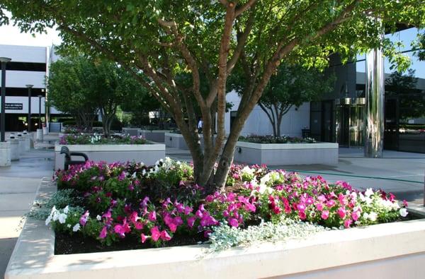 Professional landscape design and installation in St. Louis, MO.