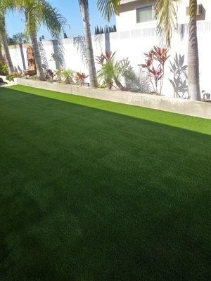 Our plushest turf: the 110oz Natural Real Platinum. A perfect fit!