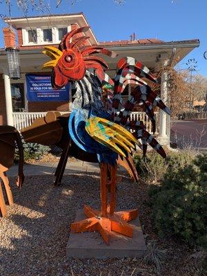 Brightly colored rooster at Houshang's