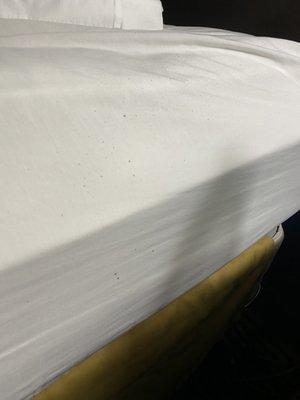 Mold on sheets on bed