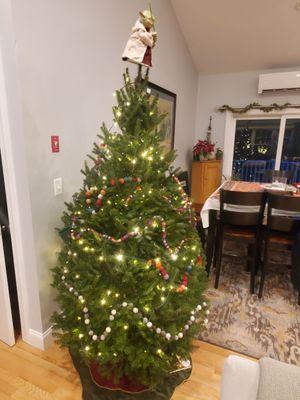 Beautiful Christmas Tree from Flaherty's Family Farm