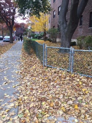 Apartments in the fall