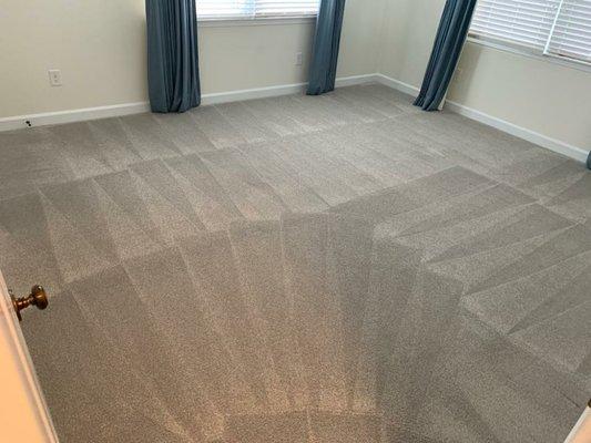 By reliable carpet cleaning