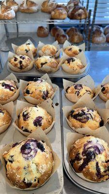 Lemon Blueberry Muffins