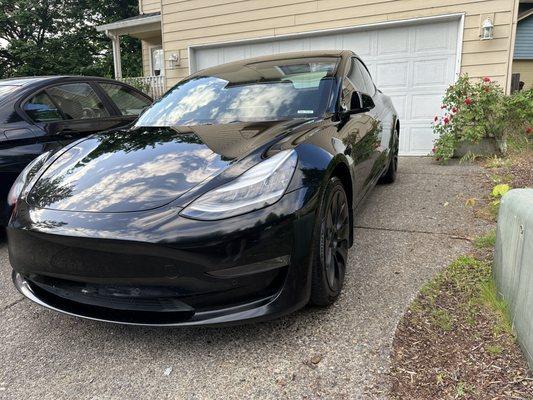 Full swirl removal for this gorgeous Tesla!!