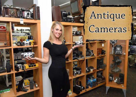 Wide Variety of Vintage Cameras !!