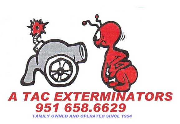 Termite and Pest Control