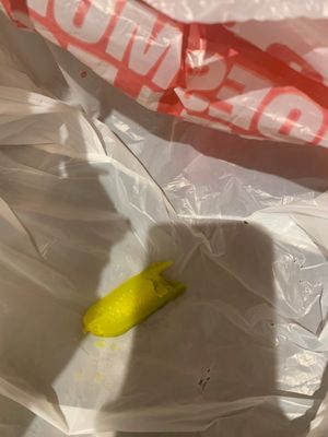 Half eaten pickle