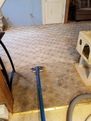 Accu-Brite Carpet Cleaning