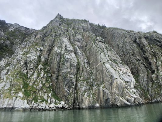 Seabird nesting cliffs, 3,000 vertical feet.  Our tour brings you up close and personal with Alaska.