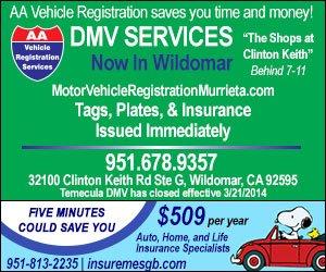 AA Vehicle Registration Services