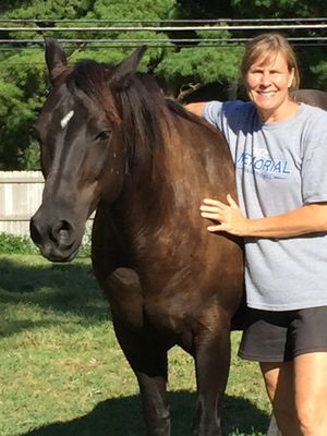 Peace of Mind Horse and Pet Sitter