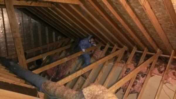 Removing insulation