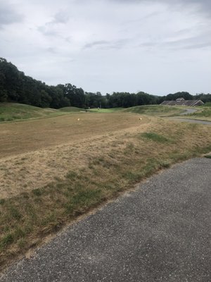 The entire tee is covered with dead grass