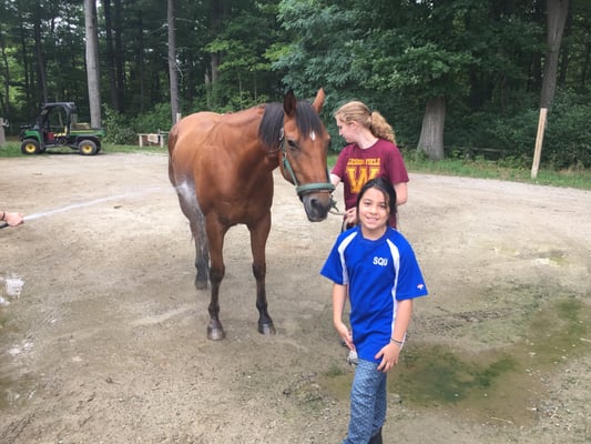 Riding Horses