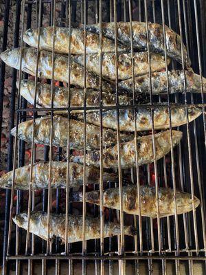 Grilled Sardines (Sardinha Assada)