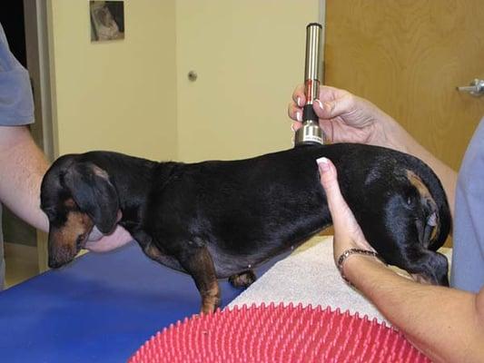 Laser Therapy