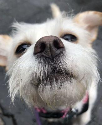 emma is ready for her close-up! Look out, pUparazzi!