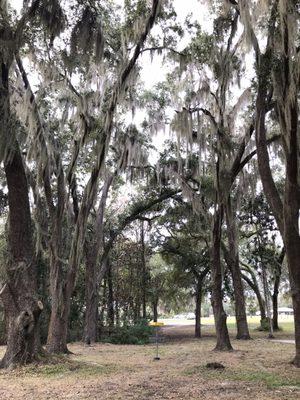 Basket hole 3, tee pad to the right for hole 4.