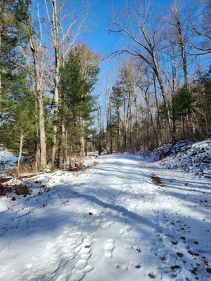 Beautiful day on the trails