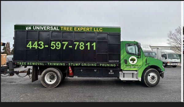 Universal Tree Expert