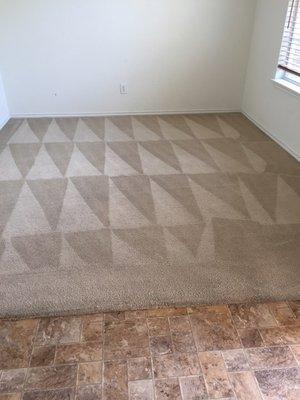 house carpet clean