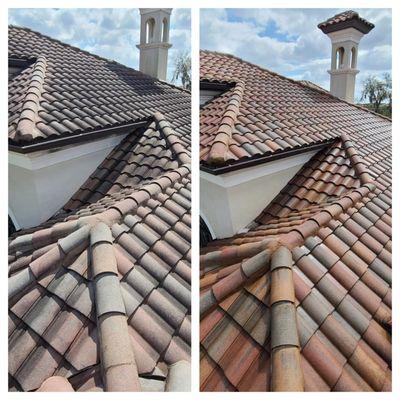 Roof Cleaning