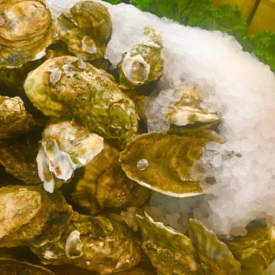 Blue point oysters